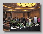 132  First View of the Flower Show  [DM]